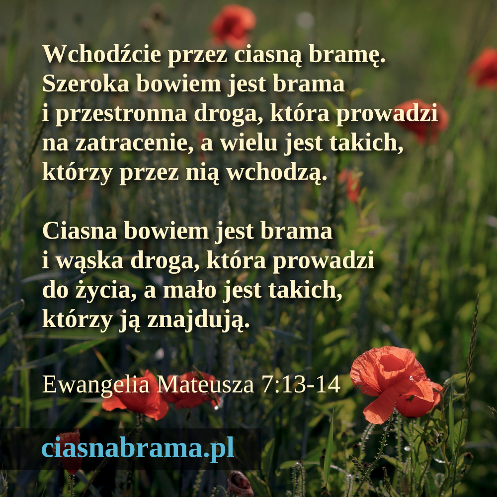 ciasnabrama.pl